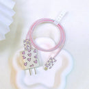 Love Inspired Charger Saver Set