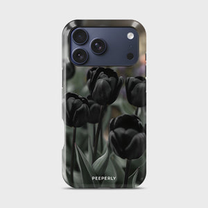 zopoxo