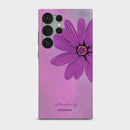 Petal Enigma